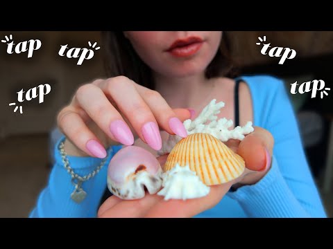 ASMR tapping on my shell collection