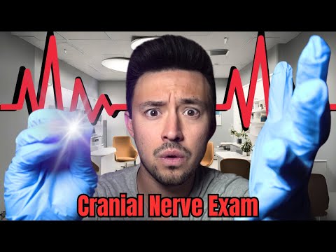 Tingly Cranial Nerve Exam Roleplay 🧠 (Personal Attention ASMR)