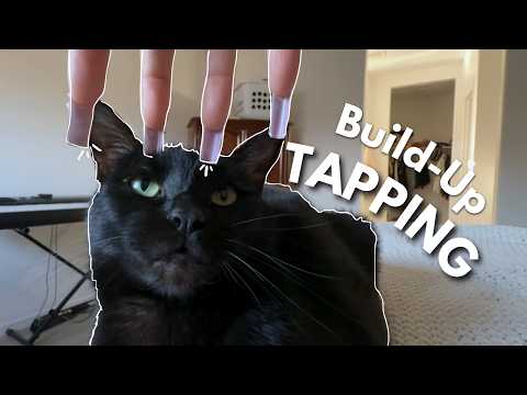 ASMR | Build-Up Tapping & Scratching 