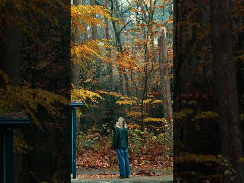 a gentle reminder that adding a bit of mindfulness and calm in the day can be quite simple 🩷🌲🍁 ily