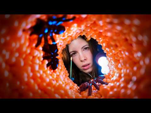 ASMR Let Me Remove That From Your Ear... (Deep Cleaning & Exam)