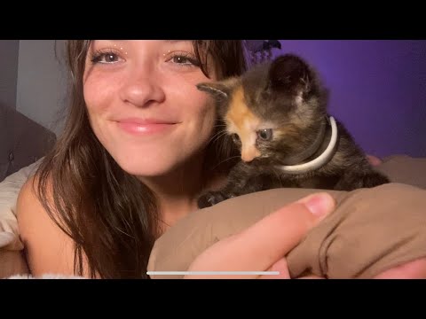 ASMR | fluffy mic scratching ft. new kitty