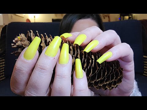 ASMR Pinecone Scratching