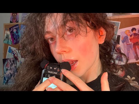 Asmr tascam foam mic biting (mouth sounds directly on the mic)