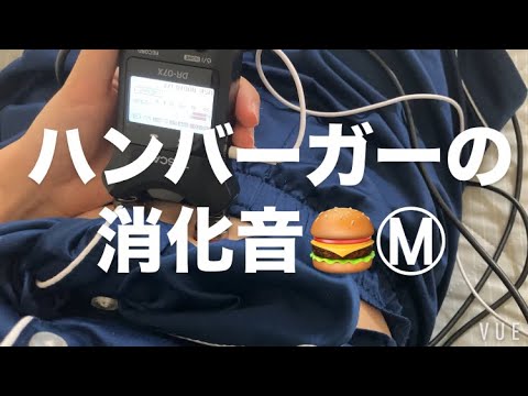 ASMR ハンバーガー食べたお腹の音【request move】