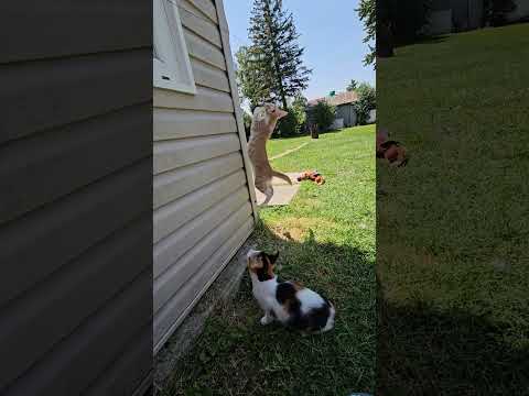Jaydyn and Spooks