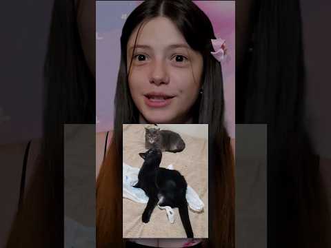 ASMR | My Favorite Photos of My Cats! ─♡─ #asmr #cats