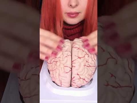 ASMR Most Tingly Brain Massage Ever (No Talking) #shorts