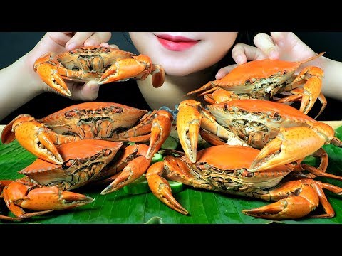 ASMR BOILED DOUBLE SKIN CRABS (DOTTED CRAB) CRACKLING CRUNCHY EATING SOUNDS | LINH-ASMR