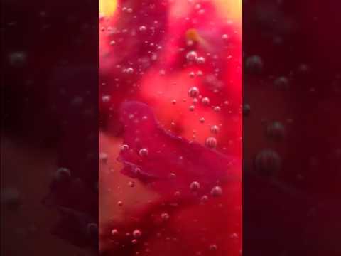 ASMR 🤯 Super Deep Face Cleanse