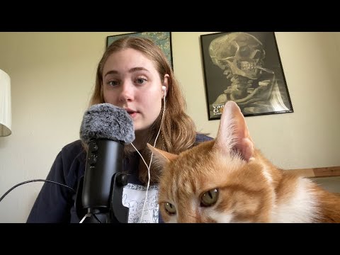 ASMR whispered ramble! life updates, cat appearance + gentle triggers