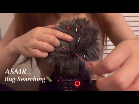 ASMR｜Bug Searching｜Pulling Yarn Out from Your Head🧵（No Talking）