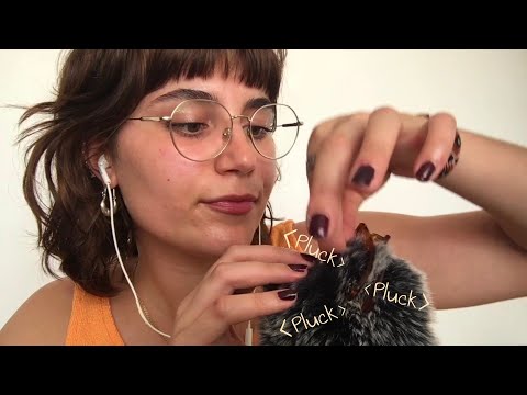 ASMR Scalp check, Lice Removal and Tingly Plucking