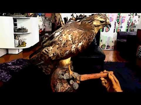 Cleaning Video☆Schoonmaak video, Nederlands gefluister   [[ASMR]]