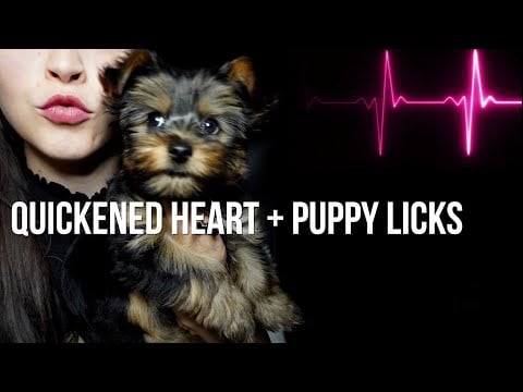 ASMR Female Heartbeat | Vampire Kathryn's  Puppy Eating & Licking Sounds