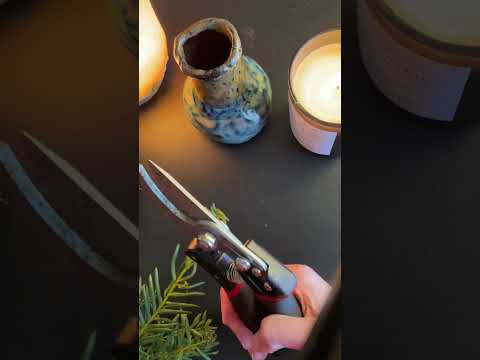 Winter Solstice ASMR