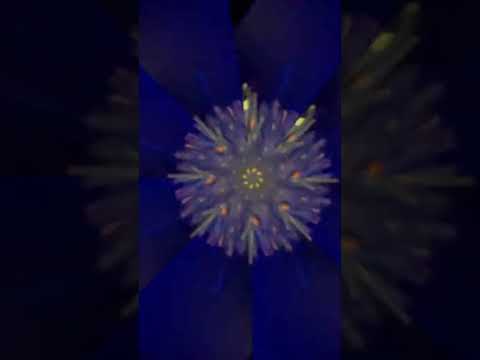 kaleidoscope asmr | #solacesoulasmr on #Twitch