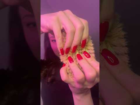 ASMR Brush #asmr #relax #brush