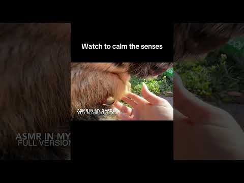 outdoor garden tour asmr