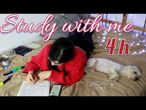 Study with me ✏️📑 ASMR