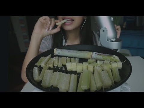 ASMR Munching on SUGARCANES // Crunchy sounds