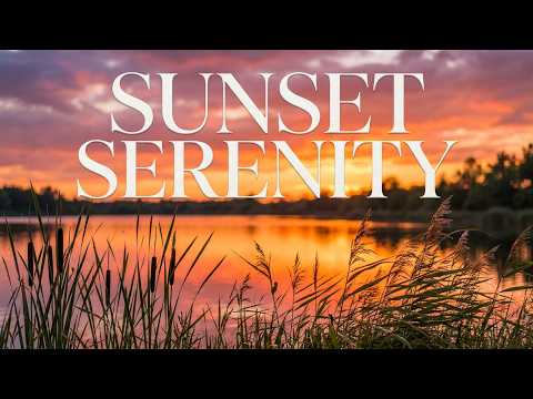 Can't Sleep ? Try THis ASMR Nature Ambience  l Night Crickets & White Noise