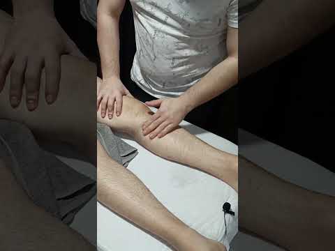 MASSAGE TECHNIQUES TO RELIEVE TENSION IN THE FORE LEGS AFTER EXERCISE #satisfying #asmr #shorts