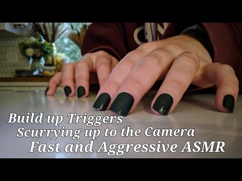 UNPREDICTABLE ASMR Towards The Camera (Scurrying, build-up asmr, lofi asmr)