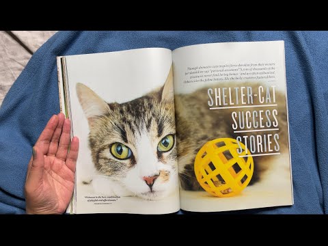 ASMR Magazine Page Turning