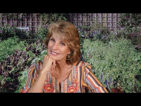 ** CANNING MARINARA & TOMATOES ** RICK SPRINGFIELD CONCERT (omg!) ** ASMR(ish) UPDATE **