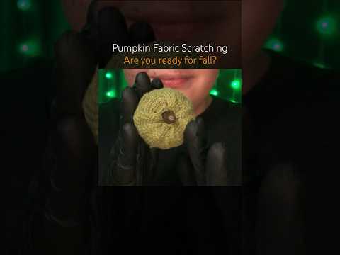 Pumpkin Fabric Scratching! 🎃 #asmr