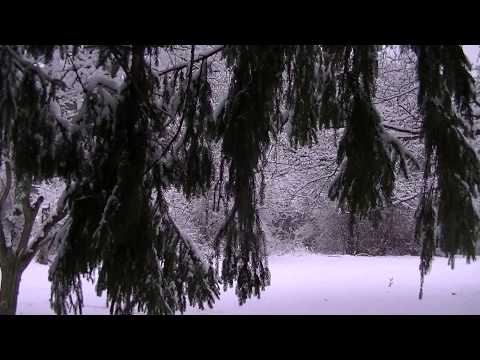 Ice Ice Baby:  Binaural ASMR Snow and Ice Sounds.