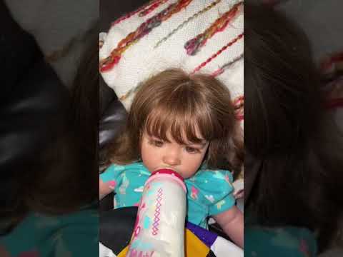 MUDÁNDOME PARA UNA CASA RODANTE CON 2 BEBÉS REBORNS