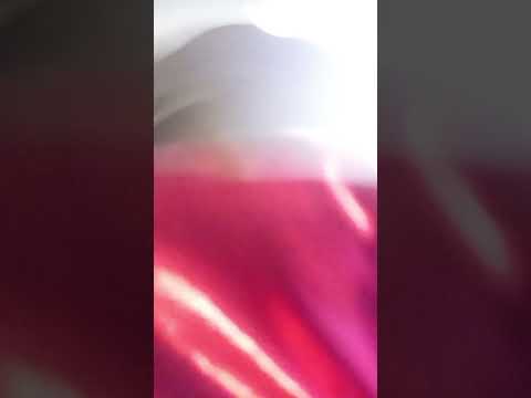Лучший момент трансляции #видосыоткота #прикольныекоты #humour #тренды #outfit #acting #ootd #anime