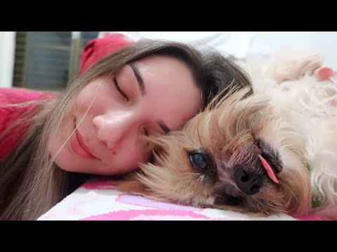 ASMR NO MEU CACHORRINHO! Vídeo Pra Você Dizer "AWWNN" E Dormir! *AMADOR*