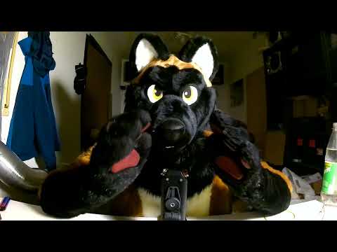 Goodboy~ Fursuit furry asmr
