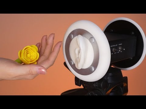 ASMR Deep Sleep! 🧠 17 Triggers Traveling Through Your Brain #ASMR #SleepAid #Relaxation