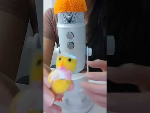 pollito ASMR te quiero mucho