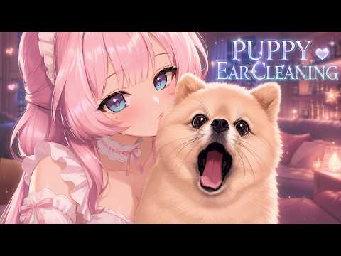 [ASMR] 강아지 옆에서 귀청소하는 귀여운 아줌마 | VTuber Ear Cleaning 🐶
