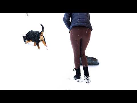 Cozy Snow Shoveling ASMR | Quiet Moments in the Snow ❄