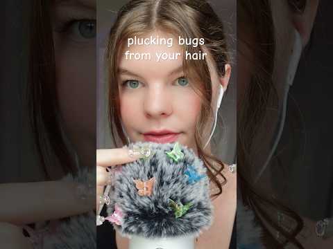 ASMR plucking bugs from your hair 🦋✨ #asmr