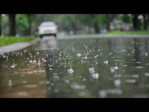 The Sound of Rain on a Car Roof (No Talking)