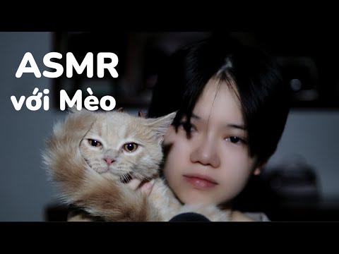 ASMR VIỆT NAM | Khi mèo nhà bạn tập làm asmr |