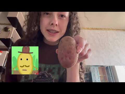 самое непредсказуемое АСМР//угадай чо выкину💁🏼‍♀️
