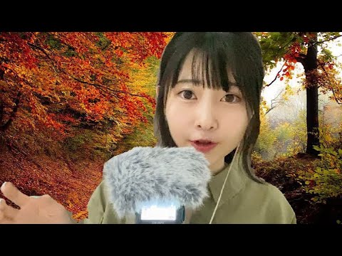 【ASMR囁き】心地良いオノマトペ【睡眠導入】【Japanese Onomatopoeia】