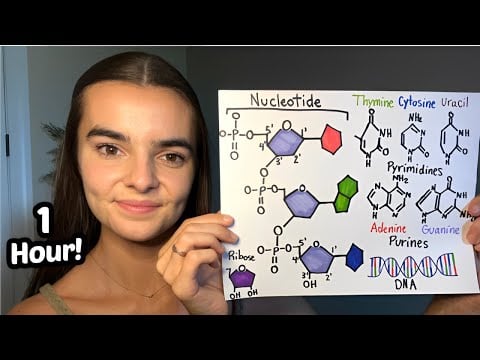 ASMR Teaching You Genetics | DNA Structure, Transcription, Translation, Genetics of Disease