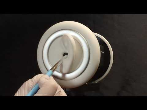 ASMR - Intense Ear Picking - Sample Collection - Gloves, Soft Spoken