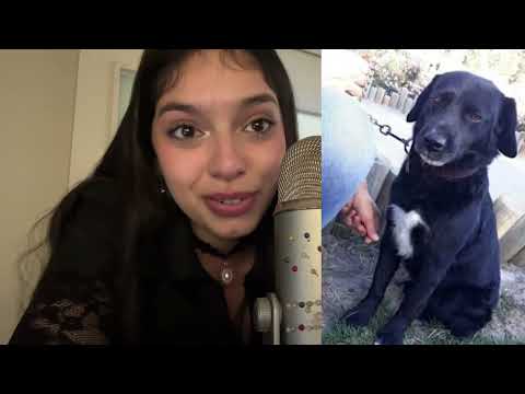 ASMR LA HISTORIA DE MI BARBA BLANCA | SUSURROS TRISTE 🥲🐶| SOFIWI