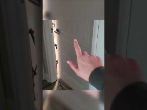 What's behind Door #3? 🤔 Sneak Peek | ASMR #Shorts