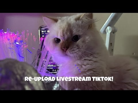 Livestream TikTok for Sleep💤💤💤